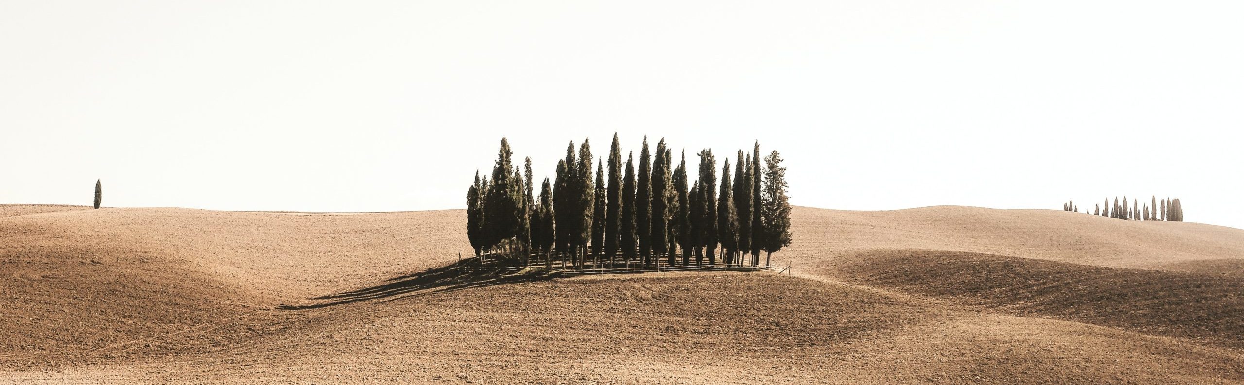 paysage toscane