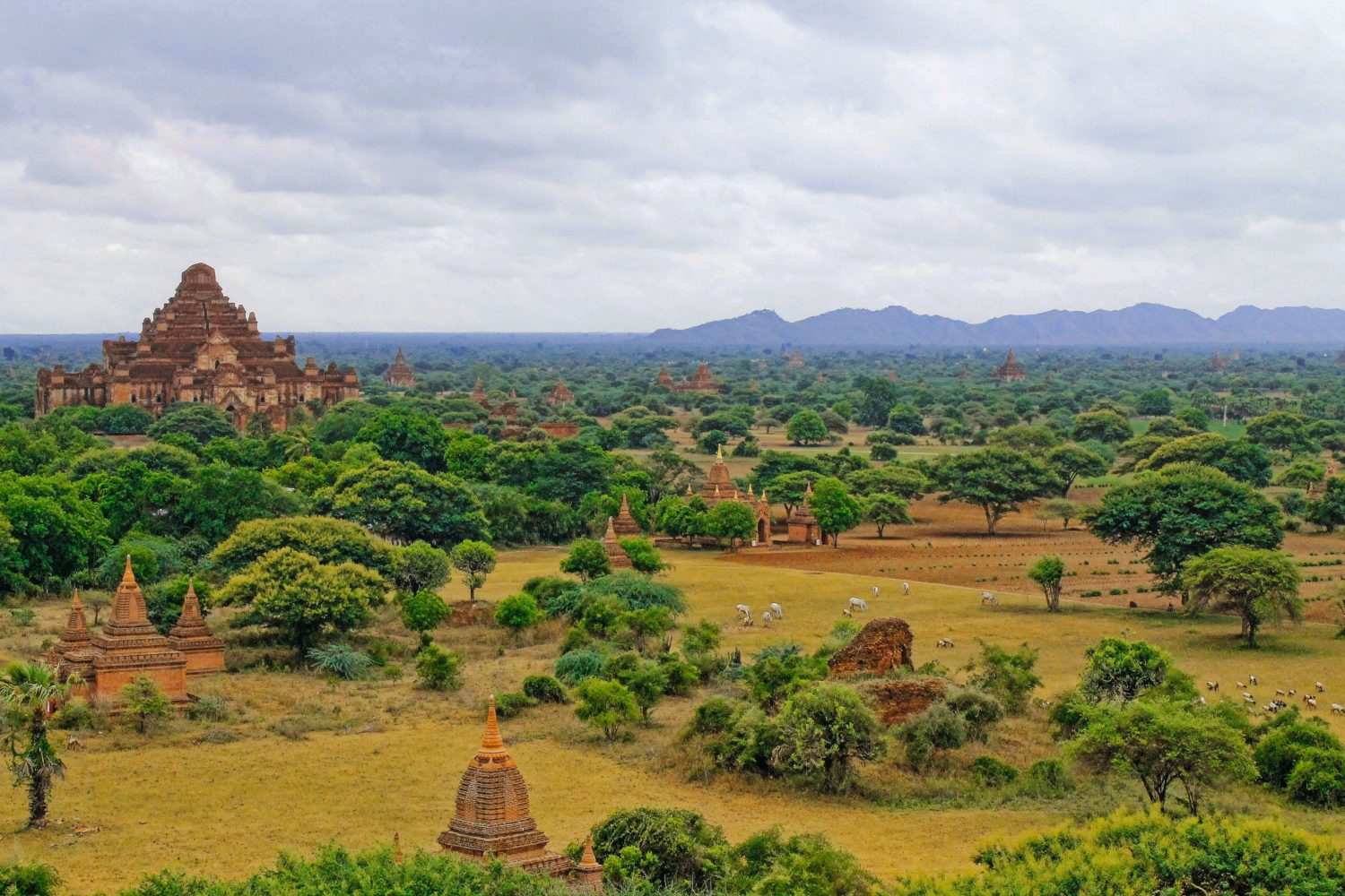 bagan