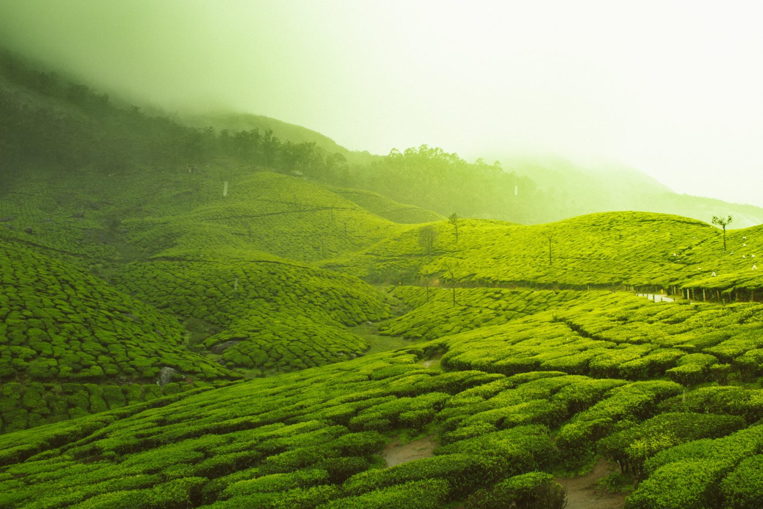 collines kerala