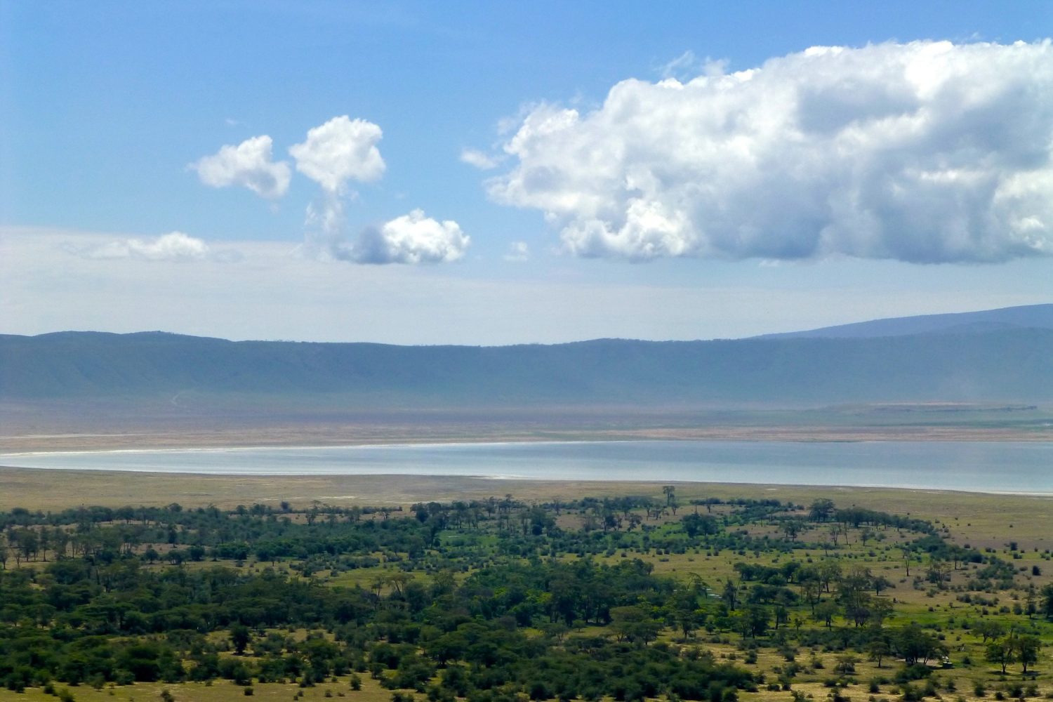 ngorongoro