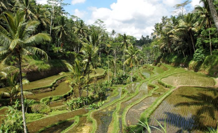Ubud