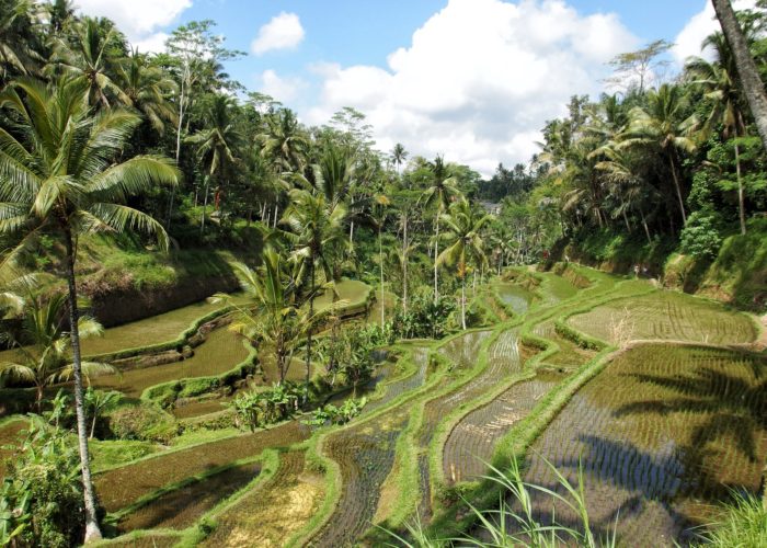 Ubud